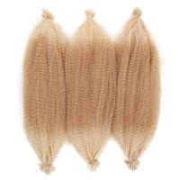 Cheveux de Tresse Pré-Séparés Afro Kinky Marley Printemps Afro Twist pour Crochets