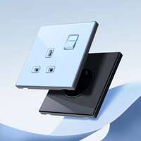 Prise murale à panneau de verre européen Double USB Type-C Chargement unipolaire 16A 110V-250V Prise de sécurité 220V Prise de courant électrique unique