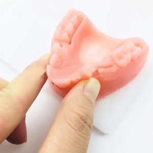 Almohadilla <span class=keywords><strong>de</strong></span> sutura <span class=keywords><strong>de</strong></span> entrenamiento dental OEM, modelo <span class=keywords><strong>de</strong></span> goma personalizable para instituciones médicas - Product Image 3