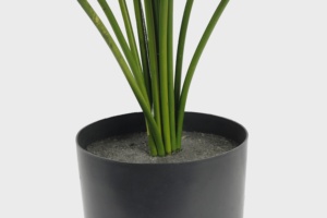 <span class=keywords><strong>2025</strong></span> Bán Hàng Nóng Nhân Tạo Nhà Máy Trang Trí Bonsai Bất Cảm Ứng 77Cm 15 Lá Monstera Cây Nhân Tạo - Product Image 5