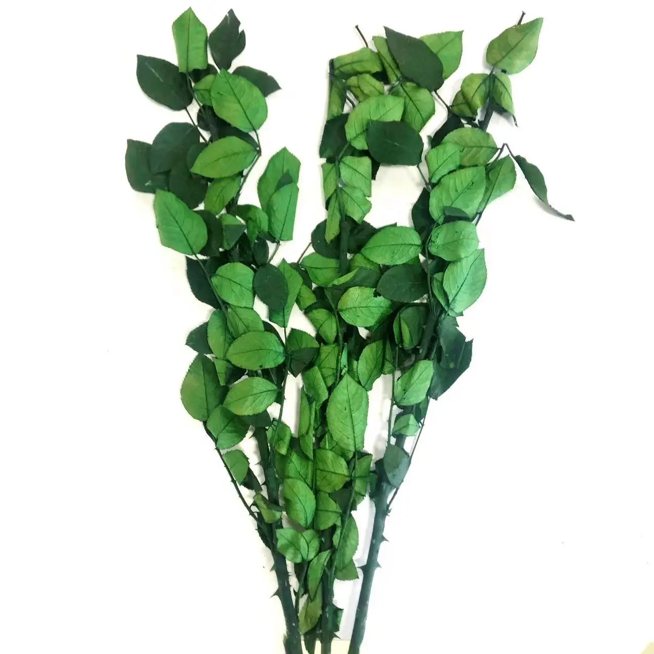 Yunnan Hot Selling Preserved Roses With Stem For Home/Wedding Decoration Roses Stem Flowers