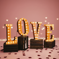 Lettres lumineuses en fer galvanisé 3FT/4FT/5FT, enseigne LED avec options multicolores, installation facile