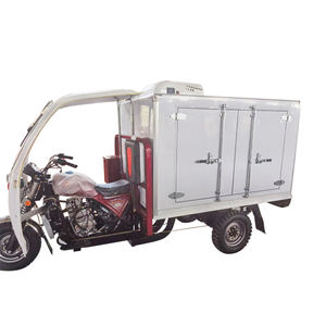 <span class=keywords><strong>Trimoto</strong></span> cerrada, triciclo refrigerado Popular de 250cc, 300cc, motocicleta de tres ruedas, <span class=keywords><strong>gasolina</strong></span> - Product Image 1