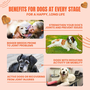 Hunde immune Unterstützung Soft Chews-Advanced Joint Health <span class=keywords><strong>Supplement</strong></span> Glucosamin Kurkuma Hanföl 120 Count Fast Absorption - Product Image 3