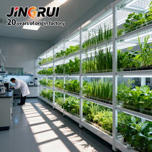 Luces LED T8 de Alto PPFD para Cultivo de Plantas en Interiores, Simulación de Luz Solar de Espectro Completo, Impermeables, para un Crecimiento Rápido de Plántulas - Product Image 4