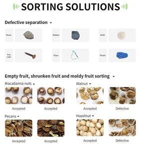 Wesort Mini Color Sorter Máy Chọn Màu Cho Hạt Cà Phê, Hạt, Ngũ Cốc, Lúa Mì, Ngô, Đậu Phộng, Đậu, Hạt Giống - Product Image 4