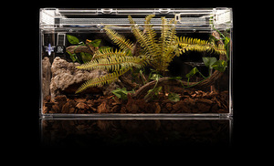 Boîte d'alimentation solide PC transparente conception de plateau en plastique moderne pour différents reptiles lézards araignées hamsters - Product Image 2