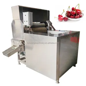 Máquina industrial de processamento de frutas cereja selecionadora de caules para remoção de cauda