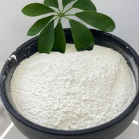 Hydroxyde de Calcium en Poudre 1250 Mesh à Bas Prix, Pureté 98%, Chaux Hydratée pour Additifs Peinture