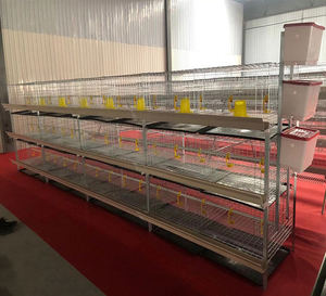 Nuova Gabbia per Polli da Carne Tipo H 2026, <span class=keywords><strong>3</strong></span> Livelli, 2 Porte, con Struttura per 72 Polli - Product Image 6