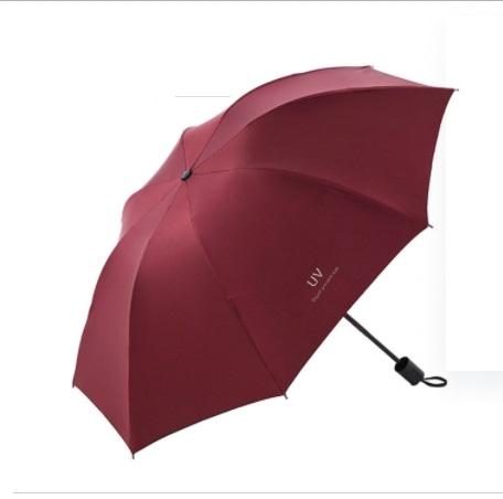 มณฑลเบอร์กันดี