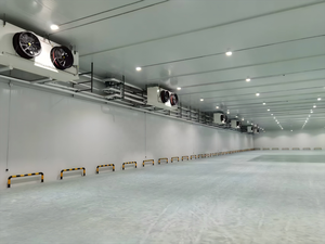 Grande chambre froide de plain-pied pour le stockage de poulet congelé, pour projets de congélation et de refroidissement - Product Image 6