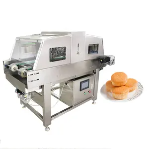 1000W 80KG New Style Cake Spray Filling Machine For Cake Bread Production Line Equipment