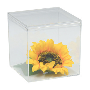 Caja de Regalo Transparente Cuadrada de PS de Grado Alimenticio, Caja de Embalaje para Tiramisú, Caja de Exhibición a Prueba de Polvo, Caja Vacía - Product Image 6