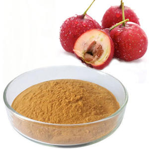 Crataegus Hawthorn Hawthorn Fructus cratorii ekstrak PE bubuk - Product Image 4