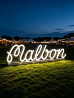 Enseigne LED personnalisée en acrylique découpée au laser, étanche, 3D, pour nom, enseigne extérieure, panneau publicitaire néon, bureau, commerce de détail