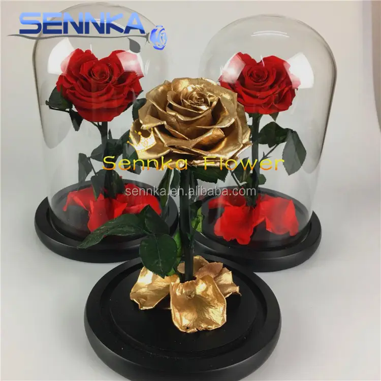 wholesale eternal rose preserved flowers in glass tubes or dome for the best women's Day gift