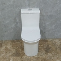 WC monobloc en céramique à siphon S-trap 300 mm, double chasse, fermeture douce, qualité supérieure, prix usine, pour villa