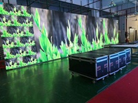 P3.91 KTV disco a mené l'affichage extérieur Polychrome de location écran géant bon prix Pantalla extérieure Gigante 500x1000mm