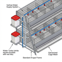 Système de cages compactes pour poules pondeuses avec réservoir de niveau d'eau visible, 3 niveaux, pour petites entreprises d'élevage, mangeoire à poulets