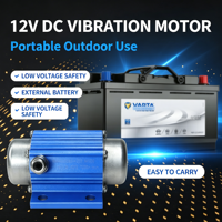 Vibrateur sans balais 12V DC compact pour massage - Moteur à vibrations - Offre spéciale