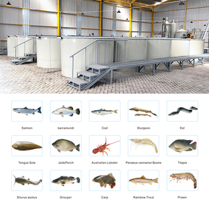 Tanque de Acuicultura de 28000L, Diámetro 5M x Altura 1.45M, para Cultivo de Bagre, Tilapia y Otros Peces, Equipo de Acuicultura - Product Image 4
