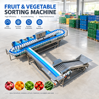 Automatische sorteersystemen voor dozen, eenvoudig te onderhouden ontwerp voor commerciële fruit- en groenteverwerkingsbedrijven