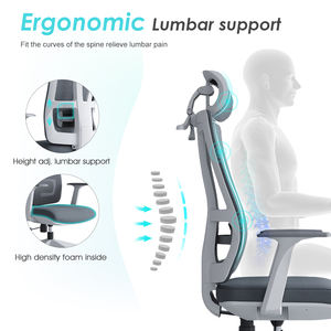 Sedia da <span class=keywords><strong>Ufficio</strong></span> Girevole <span class=keywords><strong>Ergonomica</strong></span> con Supporto Lombare Regolabile e Schienale in Rete, Vendita all'Ingrosso dal Guangdong - Product Image 3