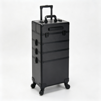 Valise de maquillage professionnelle à roulettes avec miroir éclairé, grands tiroirs, chariot cosmétique, poignée télescopique, rangement pour salon