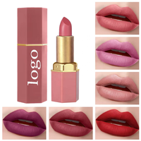 Lot de gloss à lèvres mat effet brume, haute qualité, personnalisable, waterproof, multicolore, coffret cadeau pour femme