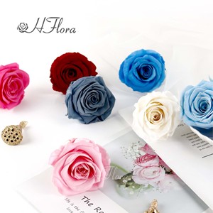 HFlora 5-6 cm 6 Piezas/caja Cabeza de Rosa Natural Preservada Eterna y Duradera para Enamorados Decoración del Día de San Valentín - Product Image 5