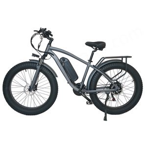 Bon marché Chine Ebike 48V 250W vélo électrique avec 26 "x4.0 gros pneu Ebike freins à huile hydraulique E Bike City Bike EU Warehouse ZQ-M26 - Product Image 2