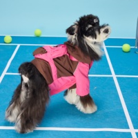 Fabricant de vêtements pour animaux de compagnie en gros, veste pour chien, vêtements personnalisés OEM ODM, vêtements d'été respirants, légers, anti-insectes, en nylon pour l'exercice