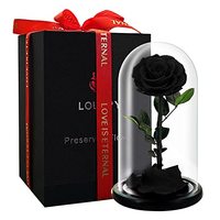 Offre Spéciale : Boîte Cadeau de Fleurs Éternelles – Roses Préservées pour la Fête des Mères et la Saint-Valentin