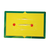 Piège à souris collant écologique et antidérapant avec adhésif puissant pour 480 heures de lutte antiparasitaire – Plaques de capture collantes pour rats