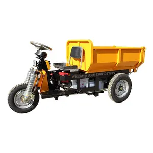 LK135 3 WHEEL Cargo bike for sale/cheap electric mini dumper with big cargo box/china electric loader sale well