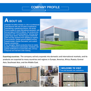 Molinillo Manual de Especias de Vidrio Premium para Cocina, Ajustable en Grosor, Salero y Pimentero con Tapa Trituradora, Tarros de Condimentos - Product Image 6