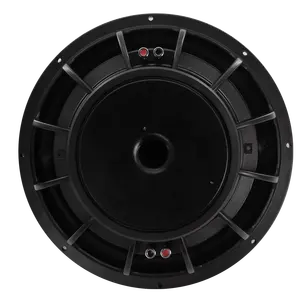12 Inch Home Theater System Speaker High Quality Horn Driver PA Horn Speaker Mid-Woofer