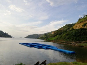 Gabbia Quadrata per Acquacoltura 8mx8m Trappola per Pesci in Vendita - Product Image 4