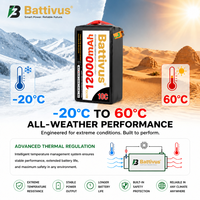 Аккумулятор Battivus 12S 52.2V 12Ah полутвердотельный LiPo 210 Втч/кг с высокой энергетической плотностью для БПЛА с вертикальным взлетом и посадкой, самолетов с фиксированным крылом и дронов с длительным временем полета