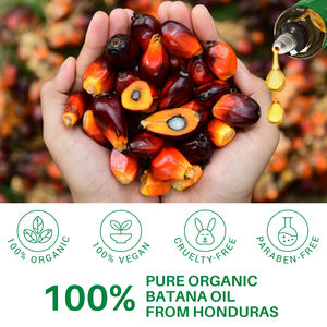 Aceite de Batana para el Crecimiento del Cabello Más Vendido, Aceite de Batana Hondureño 100% Puro y Natural para Puntas Abiertas y Fortalecimiento del Cabello - Product Image 4