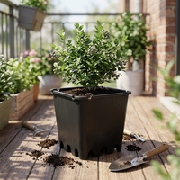 Pots de fleurs carrés modernes en PP de luxe, style romain, avec trou de drainage et auto-arrosage, pour jardin et serre (vente en gros)