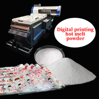 Échantillon gratuit de poudre adhésive thermofusible TPU poudre DTF