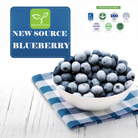 Bevroren Zwarte Bes Eersteklas Gedroogd Fruit Voor Uw Gezonde Snack Of Culinaire Lekkernijen