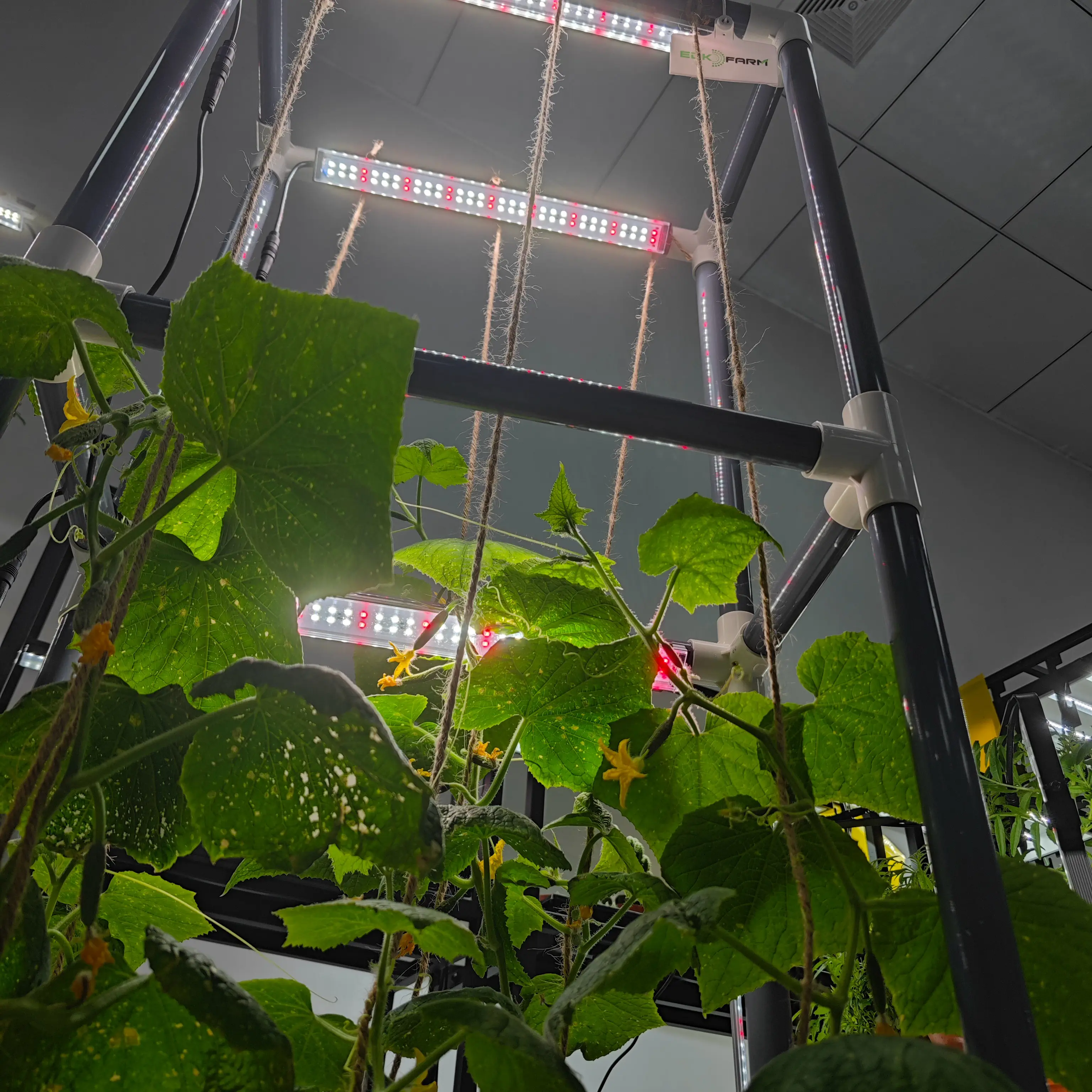 등산 식물 화분 시스템 수직 실내 정원 성장 키트 주도 성장 빛 스펙트럼 혼합 660nm