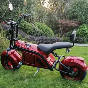 Scooter elettrico modello sportivo ad alta potenza con ruota da 12 pollici