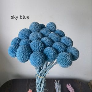 Bouquet de Billy Buttons Conservés avec 20 Tiges pour Décoration de Mariage, Maison, Bureau, Fête - Product Image 6