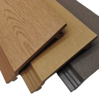 Panneau mural WPC classique écologique pour extérieur, revêtement mural en composite bois-plastique 156S21-A, livraison rapide
