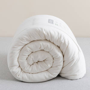 Couette <span class=keywords><strong>Guo</strong></span> <span class=keywords><strong>Xin</strong></span> Classic 100% coton 40S, écologique, respirante, pour deux personnes, 200x230cm, toutes saisons, usage domestique et hôtelier, cousue - Product Image 1