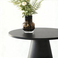 Table basse noire de style nordique, luxe léger, design moderne et minimaliste, structure en bois, écologique, durable, montage facile, table de salon
